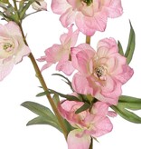 Delphinium (Ridderspoor) 'Beauty in bloom' 2x vertakt, 11 bloemen, 4 knoppen & 7 sets blad, 93 cm - RECYCLED