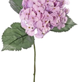Hortensie 'Beauty in bloom' mit 1 Blüte (Ø 14 cm) und 3 Blättern, 63 cm - RECYCELT