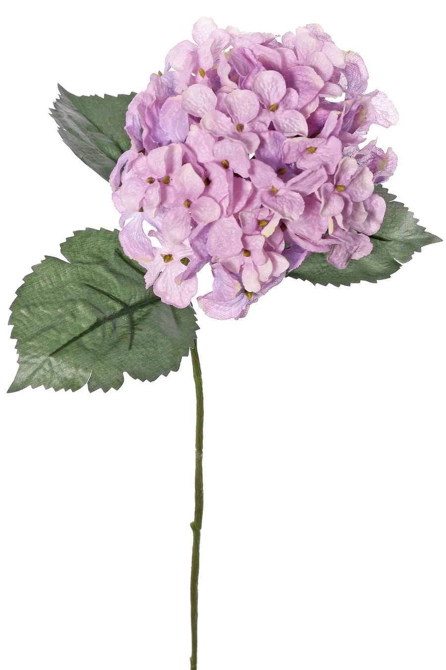 Hortensia 'Belleza en flor' con 1 flor (Ø 14 cm) y 3 hojas, 63 cm - RECICLADA