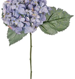 Hydrangea 'Beauty in bloom' with 1 flower (Ø 14 cm) & 3 leaves, 63 cm - RECYCLED