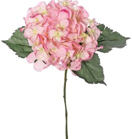 Hydrangea 'Beauty in bloom' with 1 flower (Ø 14 cm) & 3 leaves, 63 cm - RECYCLED