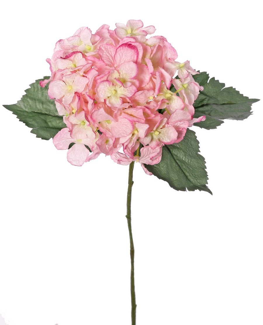 Hortensia 'Belleza en flor' con 1 flor (Ø 14 cm) y 3 hojas, 63 cm - RECICLADA