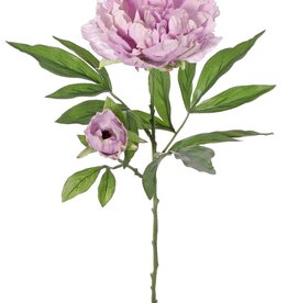Peony 'Beauty in bloom' 1 flower (Ø 9 cm), 1 bud (Ø 3 cm) & 19 leaves, 66 cm - RECYCLED