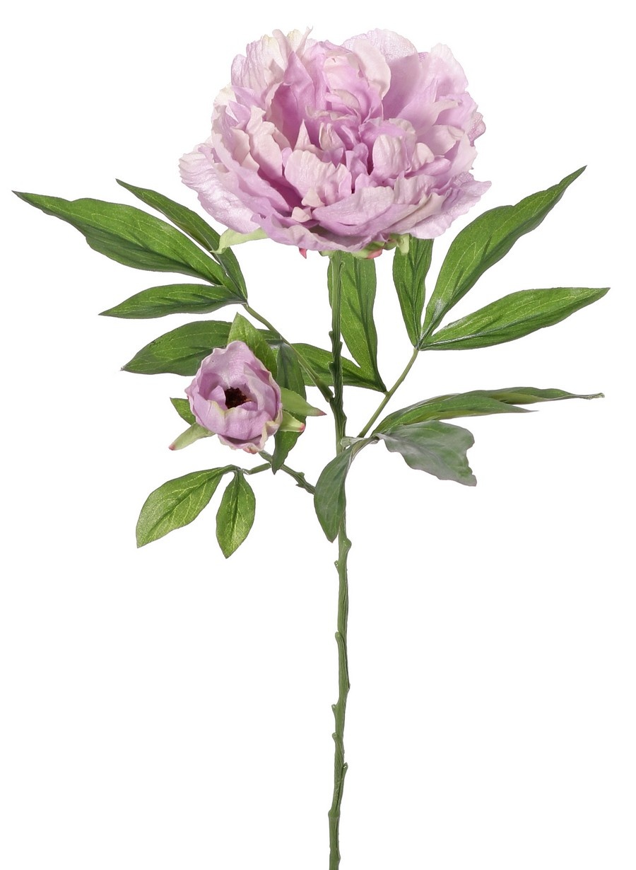 Pioenroos (Peony) 'Beauty in bloom' 1 bloem (Ø 9 cm), 1 knop (Ø 3 cm) & 19 bladeren, 66 cm - RECYCLED