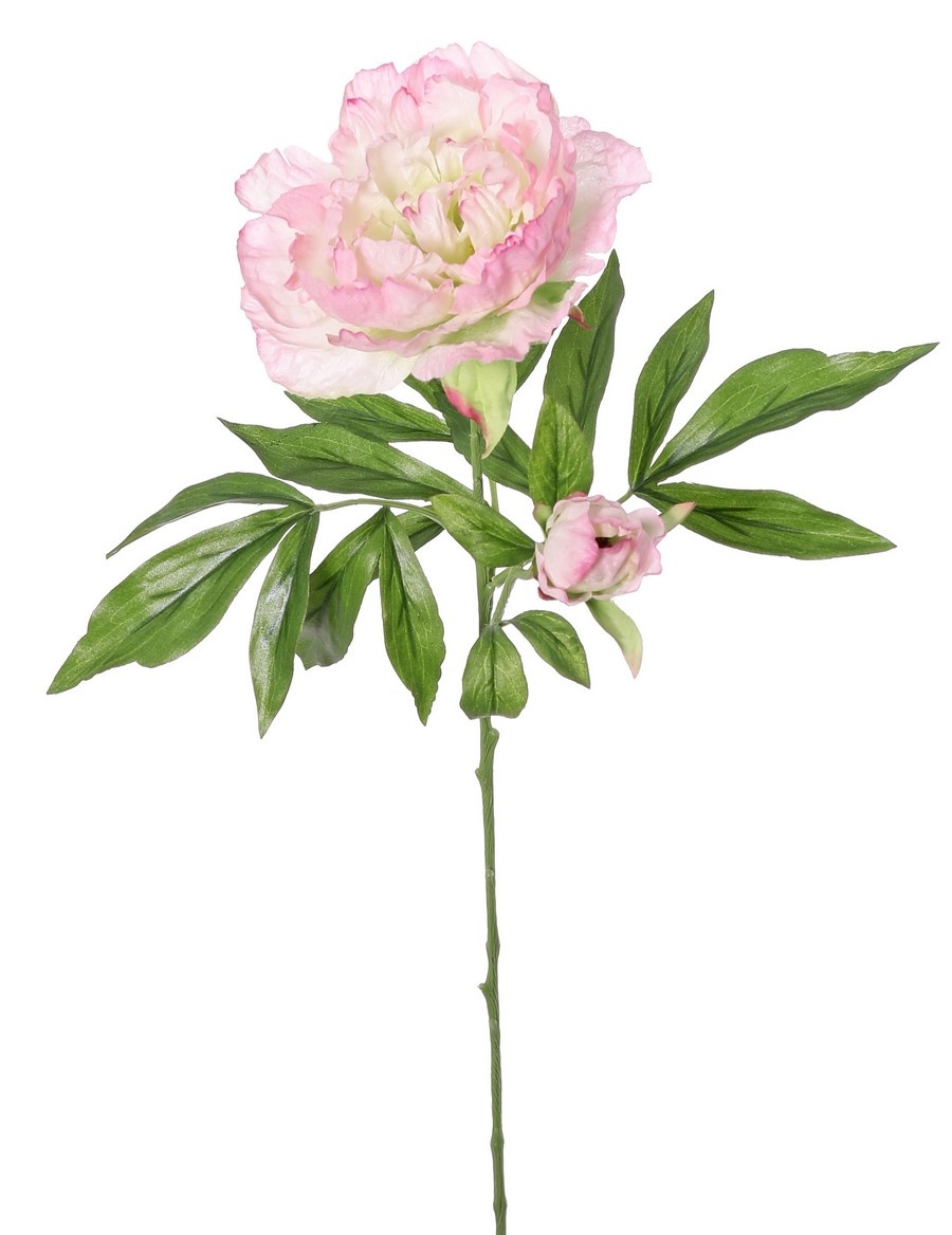 Peony 'Beauty in bloom' 1 flower (Ø 9 cm), 1 bud (Ø 3 cm) & 19 leaves, 66 cm - RECYCLED