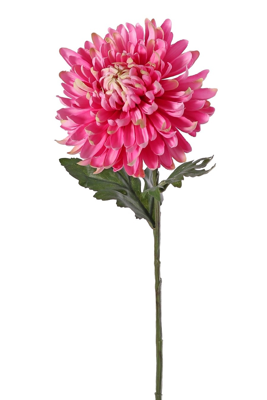 Chrysanthemum, 1 flower Ø 14 cm, h. 5 cm, 2 leaves (Polyester), 65 cm