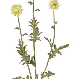 Cardo globo (Echinops) con 3 flores redondas de Ø 5 cm, 9 hojas de poliéster y 6 de plástico, 76 cm