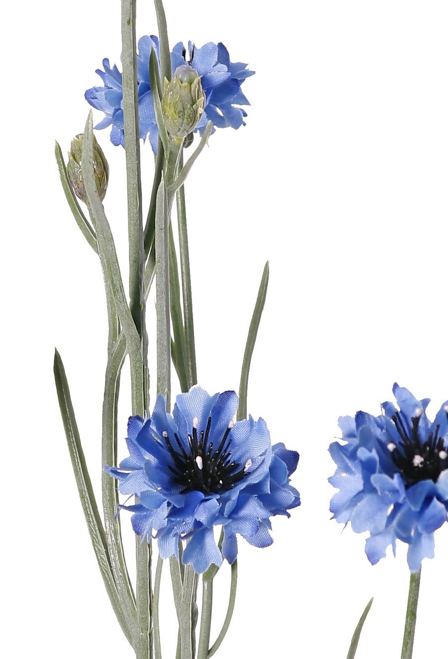Cornflower (Centaurea cyanus) with 5 flowers (Ø 4 cm) & 2 plastic buds, 29 plastic leaves, 66 cm