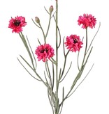 Cornflower (Centaurea cyanus) with 5 flowers (Ø 4 cm) & 2 plastic buds, 29 plastic leaves, 66 cm