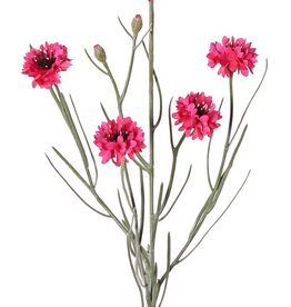 Cornflower (Centaurea cyanus) with 5 flowers (Ø 4 cm) & 2 plastic buds, 29 plastic leaves, 66 cm
