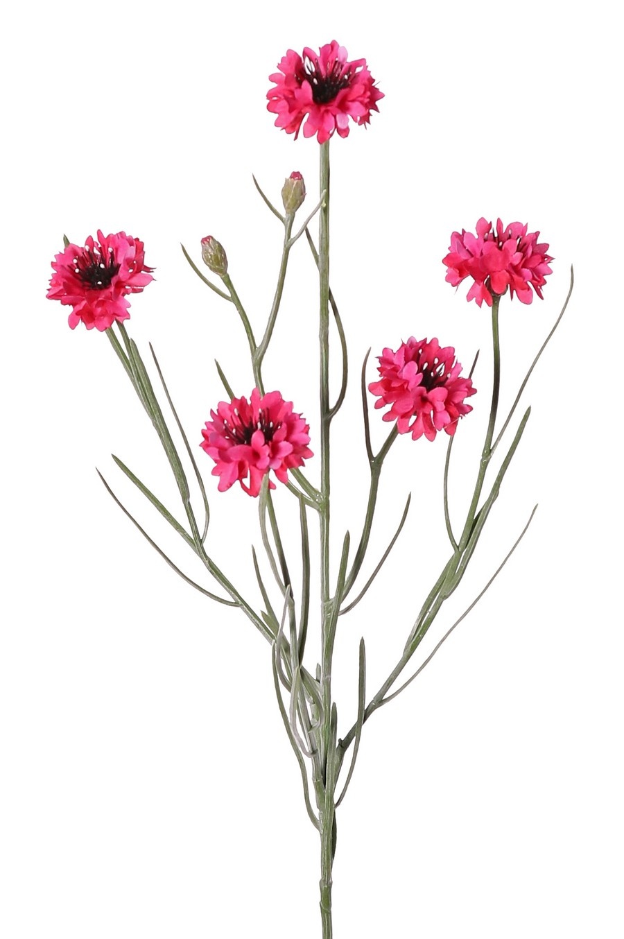 Kornblume (Centaurea cyanus) mit 5 Blüten (Ø 4 cm) und 2 Kunststoffknospen, 29 Kunststoffblättern, 66 cm