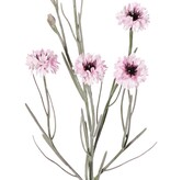 Cornflower (Centaurea cyanus) with 5 flowers (Ø 4 cm) & 2 plastic buds, 29 plastic leaves, 66 cm