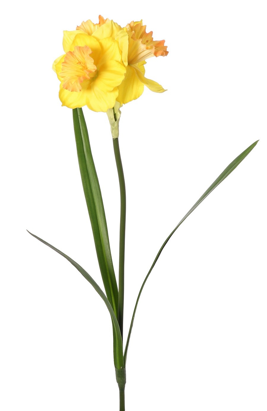 Narcis (Narcissus), 1 steel met 3 polyester bloemen & 3 bladeren, 56 cm