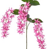 Petrea volubilis (Flor de Dios) 3x ramificada con 3 racimos de flores (23 cm) y 8 hojas, 120 cm