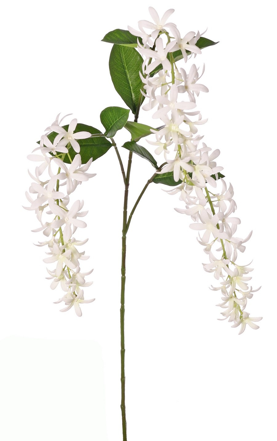 Petrea volubilis (Bloem van God) 3x vertakt met 3 bloemtrossen (23 cm) & 8 bladeren, 120 cm