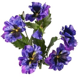 Violets, Viola, 5x branched, with 5 flowers, 2 flower buds and 11 leaves, 27 cm