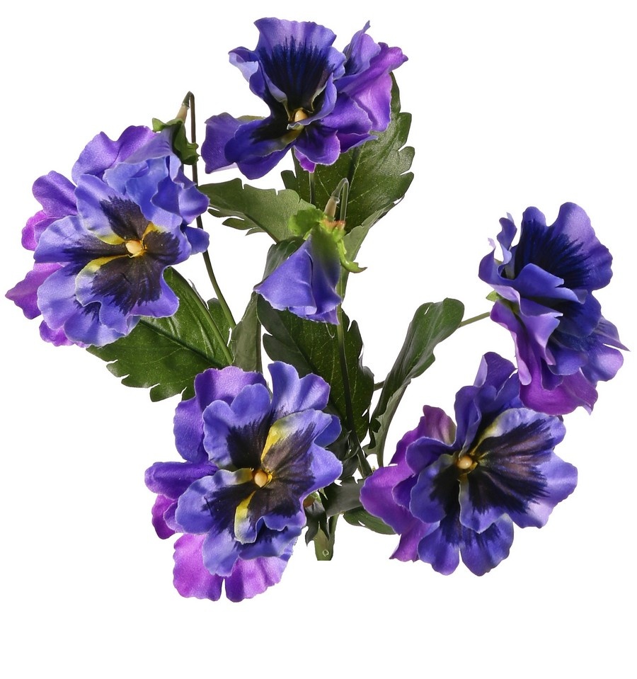 Vioolplantje (Viola) 5x vertakt met 5 bloemen, 2 bloemknoppen & 11 bladeren, 27 cm