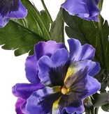 Veilchen, Viola, 5-fach verzweigt, mit 5 Blüten, 2 Blütenknospen und 11 Blättern, 27 cm