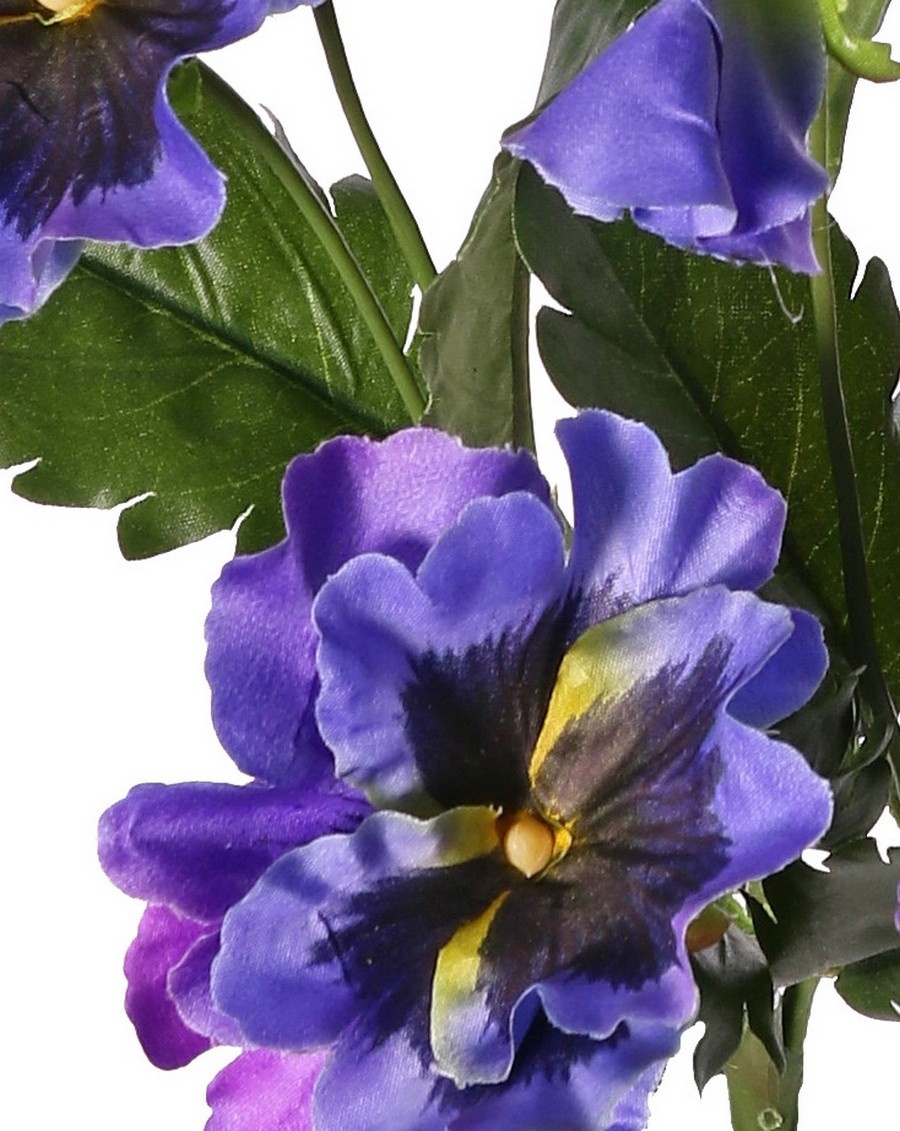 Violets, Viola, 5x branched, with 5 flowers, 2 flower buds and 11 leaves, 27 cm