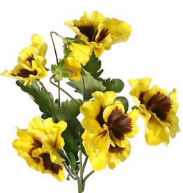 Vioolplantje (Viola) 5x vertakt met 5 bloemen, 2 bloemknoppen & 11 bladeren, 27 cm