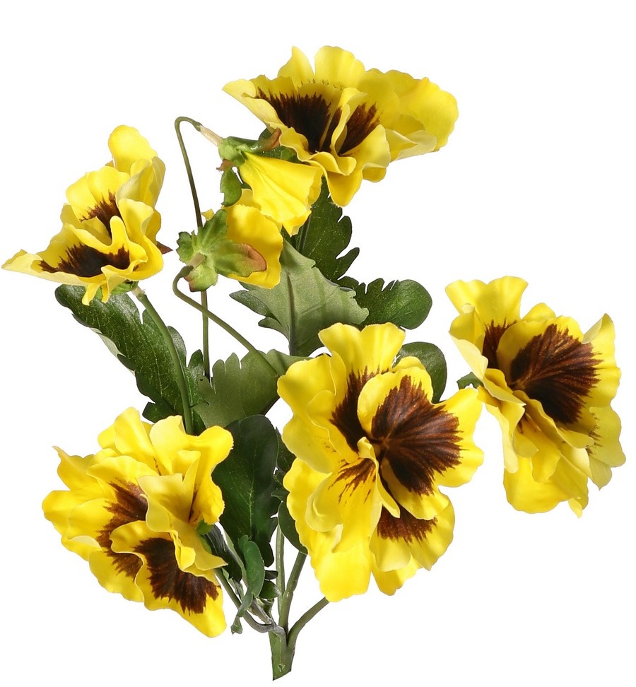 Vioolplantje (Viola) 5x vertakt met 5 bloemen, 2 bloemknoppen & 11 bladeren, 27 cm