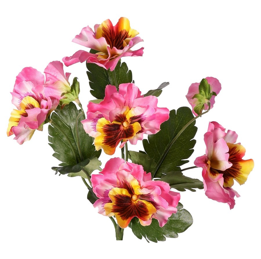 Veilchen, Viola, 5-fach verzweigt, mit 5 Blüten, 2 Blütenknospen und 11 Blättern, 27 cm