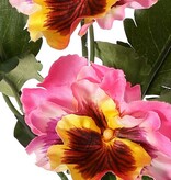 Veilchen, Viola, 5-fach verzweigt, mit 5 Blüten, 2 Blütenknospen und 11 Blättern, 27 cm