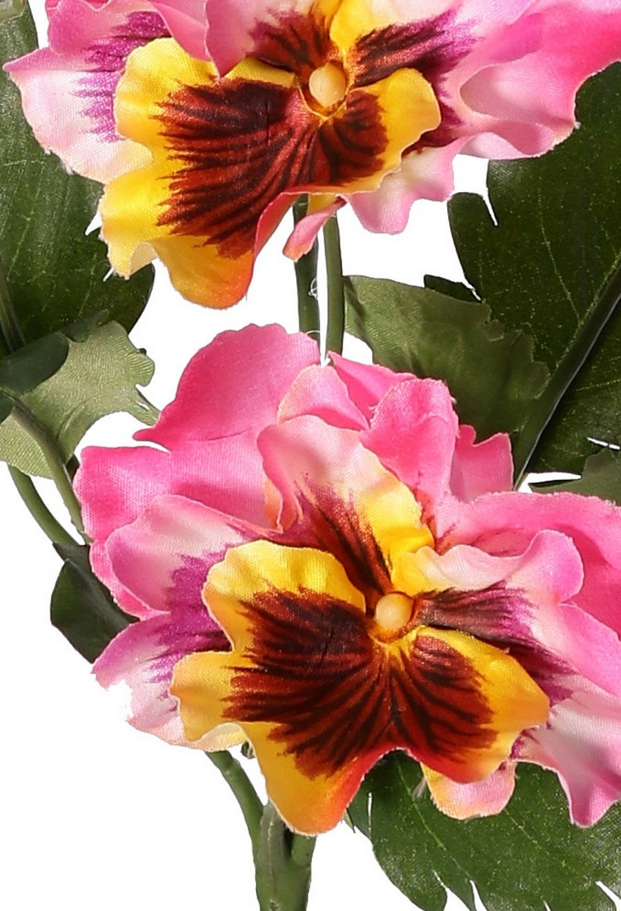 Vioolplantje (Viola) 5x vertakt met 5 bloemen, 2 bloemknoppen & 11 bladeren, 27 cm