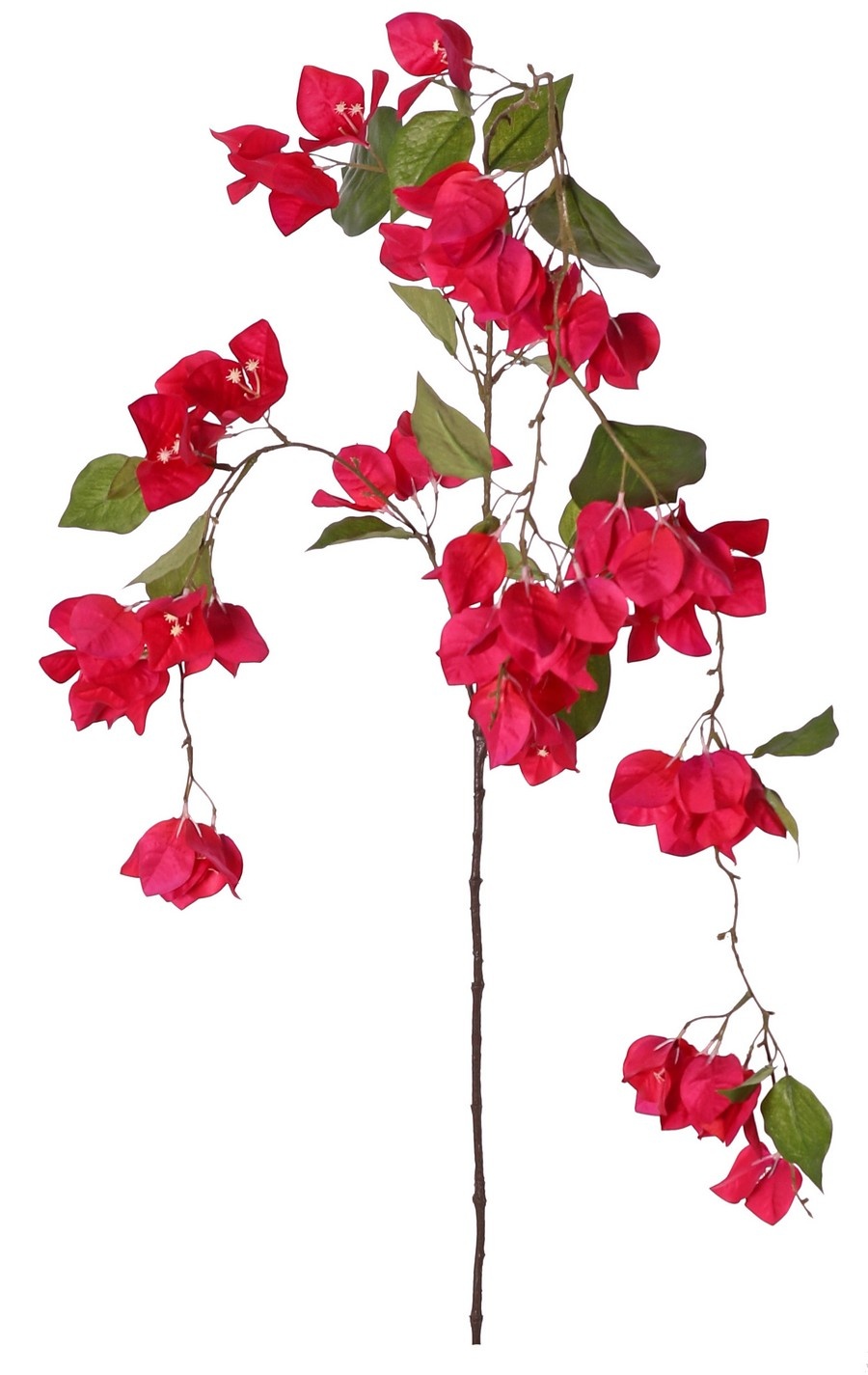 Hängender Bougainvillea-Zweig mit 57 Blüten und 26 Blättern, 142 cm