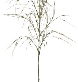 Siergras 'Stipa', 7 clusters met blad, 78 cm, plastic item