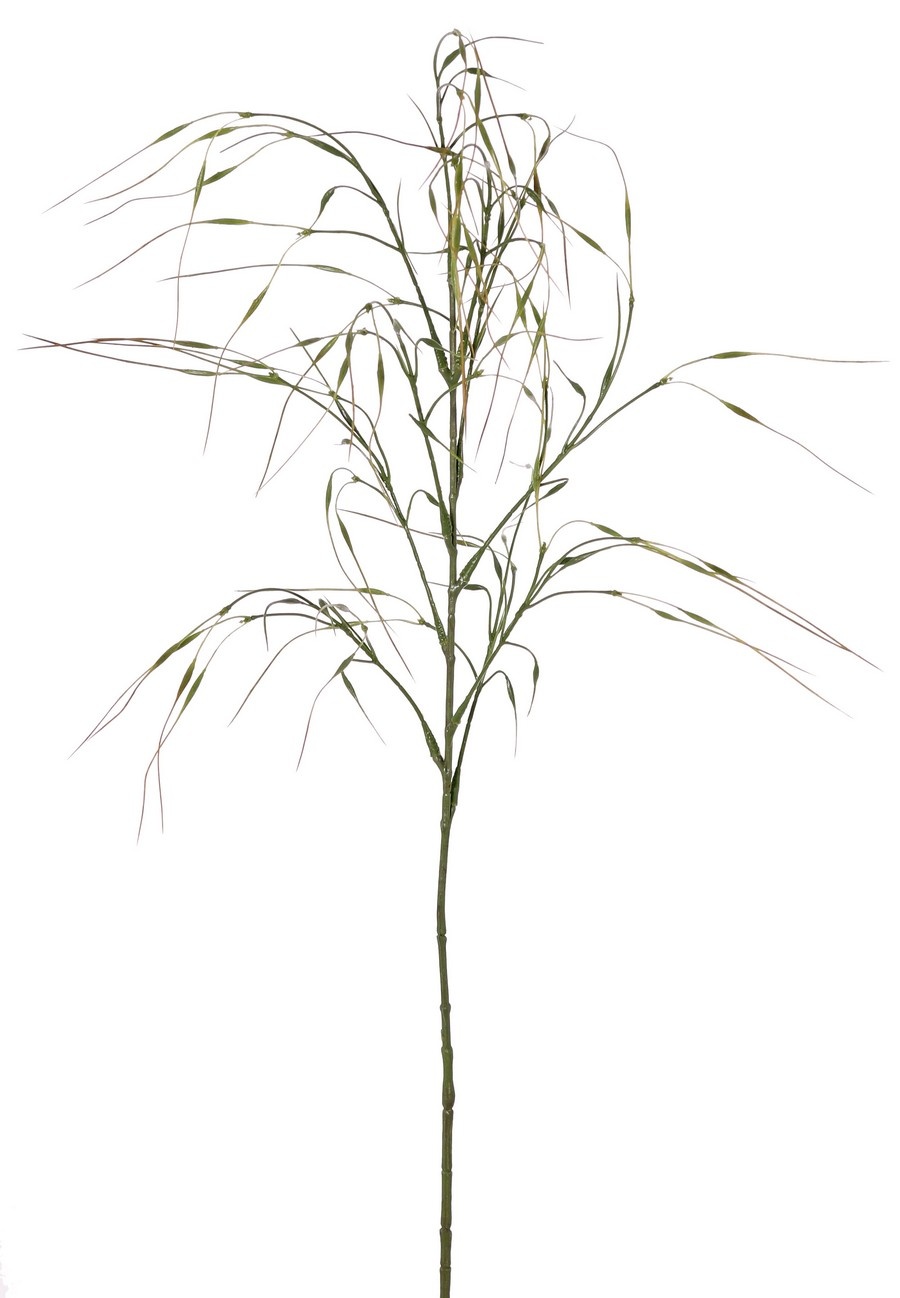 Siergras 'Stipa', 7 clusters met blad, 78 cm, plastic item