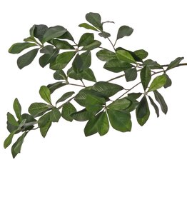 Bucidatak (Black olive/ Shady lady) met 78 polyester bladeren & 3 plastic knoppen, 65 cm