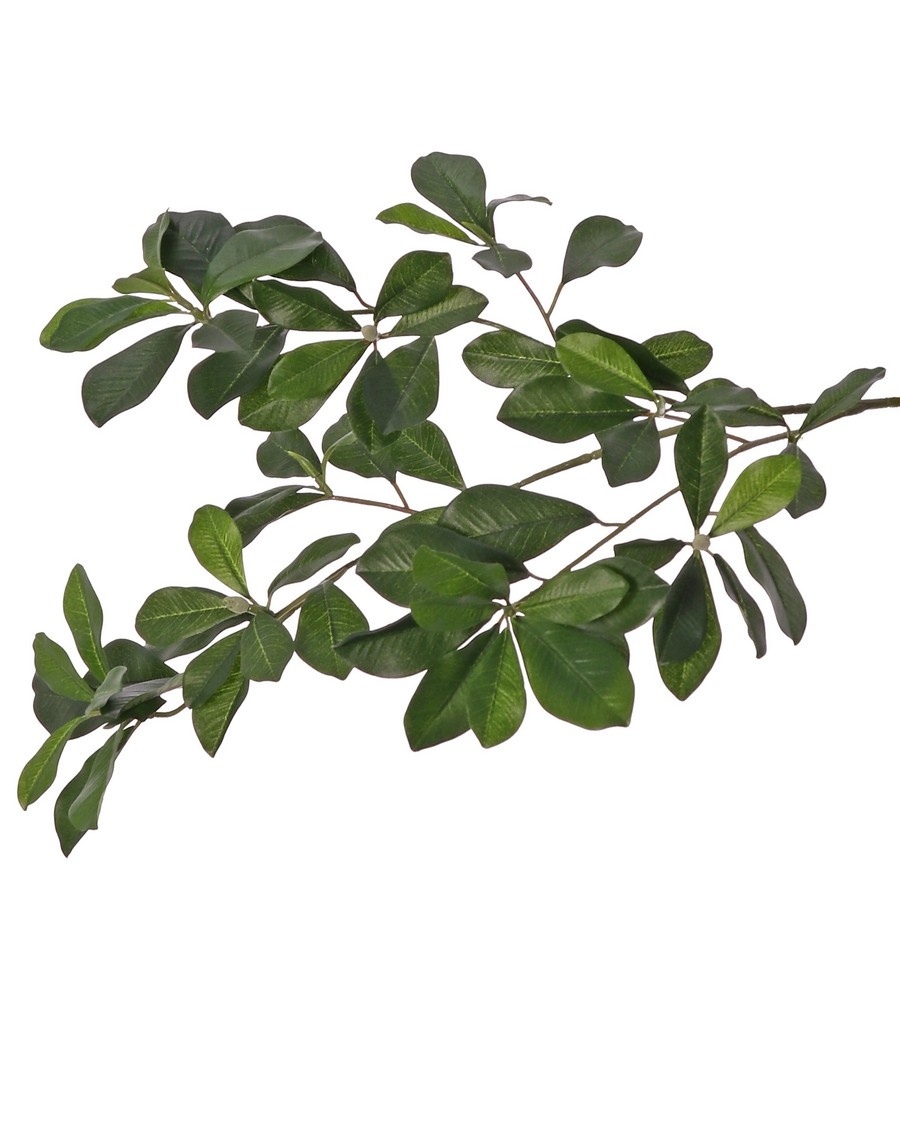 Bucidatak (Black olive/ Shady lady) met 78 polyester bladeren & 3 plastic knoppen, 65 cm