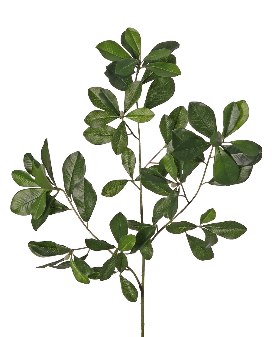 Bucidatak (Black olive/ Shady lady) met 78 polyester bladeren & 3 plastic knoppen, 65 cm