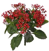 Kalanchoe bush x25 clusters plastic flrs & 70 lvs., 34 cm, UVsafe