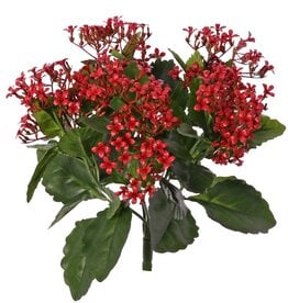 Kalanchoëbush, 25 clusters plastic bloemen & 70 polyester blad, 34 cm, UV bestendig