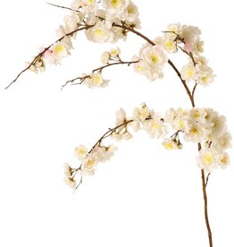 Prunus serrulata (cereza ornamental japonesa) "Plena flor", 94 flores, (28 gr., 30 medianas, 36 pequeñas) 12 yemas, 127 cm