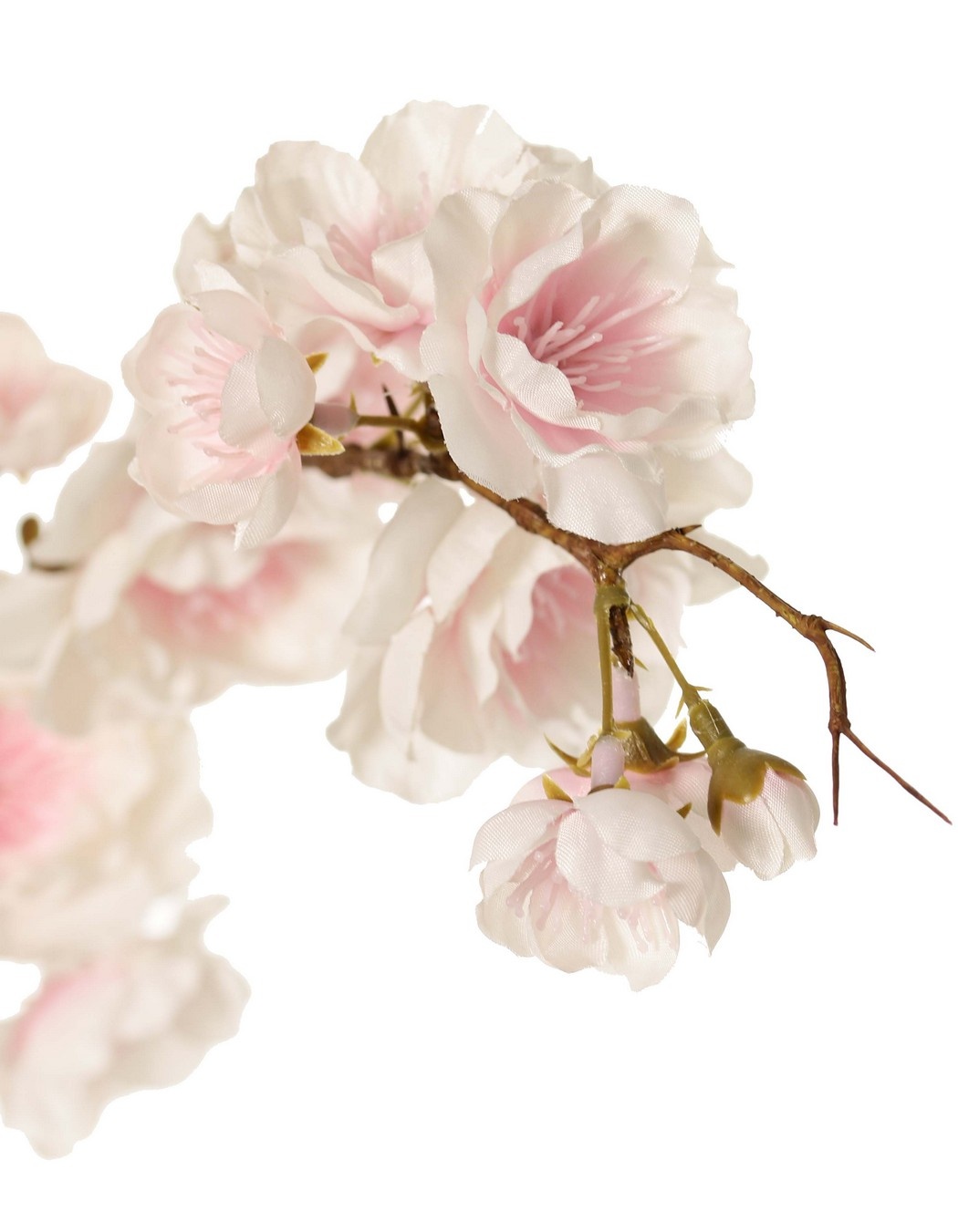 Prunus serrulata (Japanische Zierkirsche) "Full blossom", 94 Blüten, (28 gr., 30 mittel, 36 klein) 12 Knospen, 127 cm