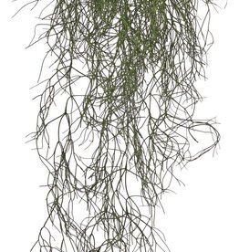 Rhipsalis (Koraalcactus) 'de luxe' met 68 clusters blad, 105 cm, brandvertragend & UV bestendig
