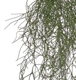 Rhipsalis (Koraalcactus) 'de luxe' met 68 clusters blad, 105 cm, brandvertragend & UV bestendig
