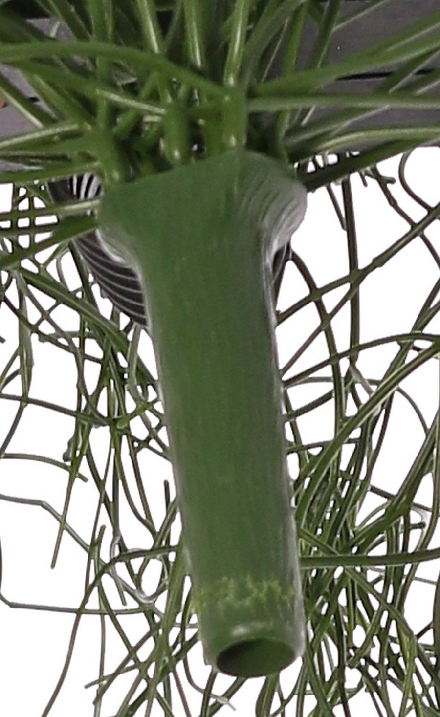Rhipsalis (cactus coralino) 'de luxe' con 68 grupos de hojas, 105 cm, ignífugo y resistente a los rayos UV