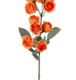 Minirose, 2-fach verzweigt mit 10 kleinen Rosen (ø 2 cm) und 8 Blütenblättern, 35 cm, recycelt