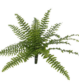 Boston varen (Nephrolepsis) 21 bladeren, 2 tone groen, Ø 50cm