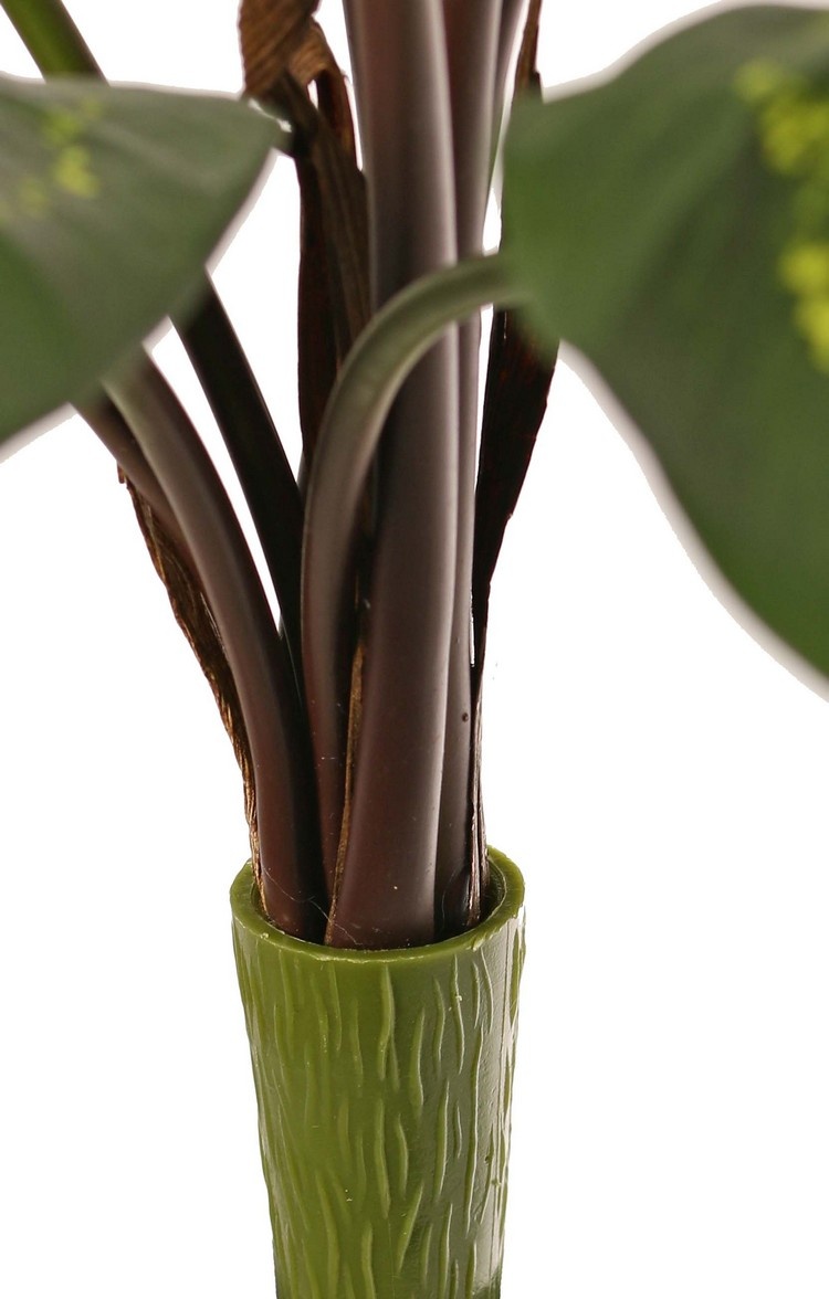 Calathea roseopicta (green), with 10 polyester leaves, (2 XL/ 3 L/ 5 S), 53 cm