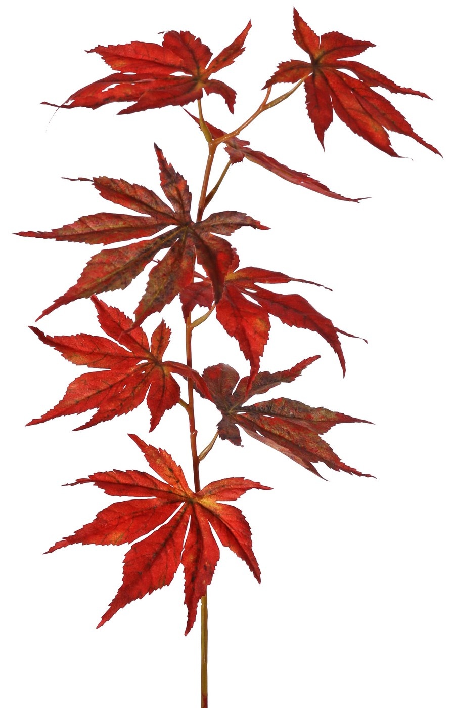 Acer Branch (Japanese) with 8 polyester leaves, 5xL/ 3x M, 80 cm