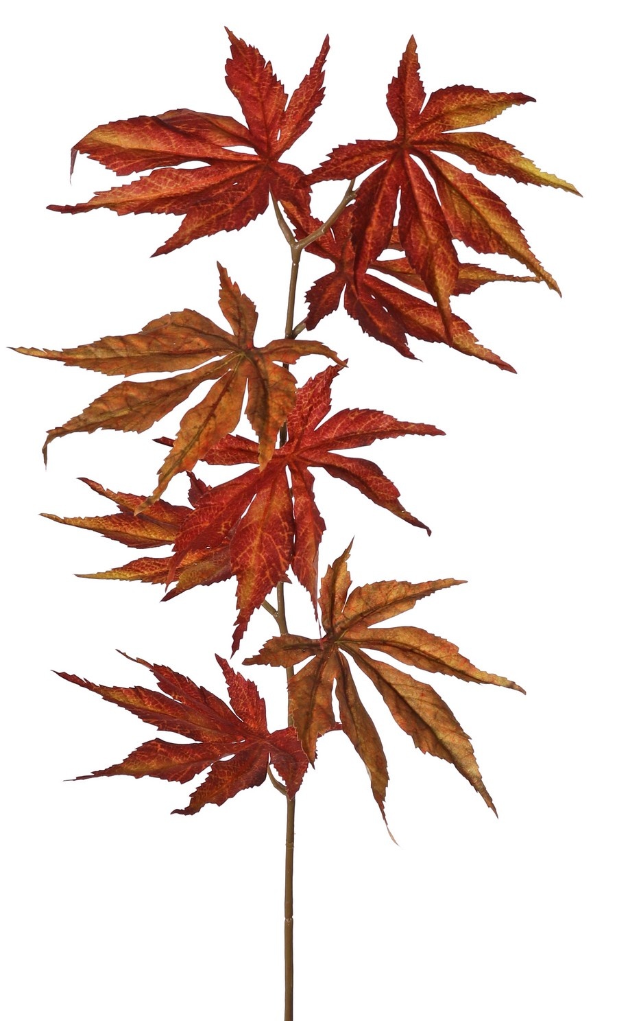 Rama de arce (japonés) con 8 hojas de poliéster, 5 x L / 3 x M, 80 cm