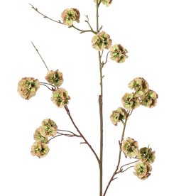 Scabiosa with 21 polyester seed capsules, Ø 3 cm, without leaves