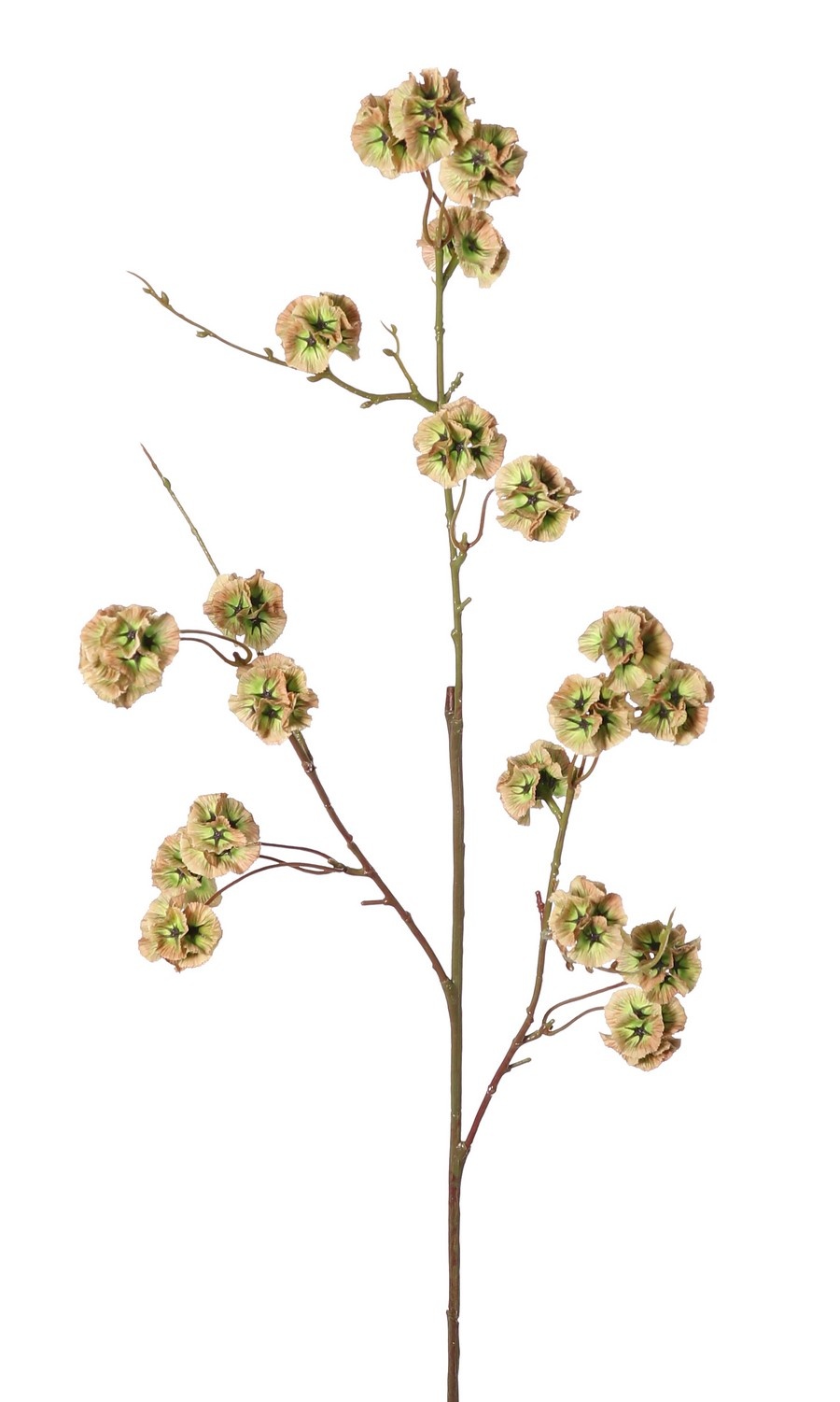 Scabiosa with 21 polyester seed capsules, Ø 3 cm, without leaves, 90 cm