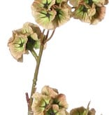 Escabiosa con 21 cápsulas de semillas de poliéster, Ø 3 cm, sin hojas, , 90 cm
