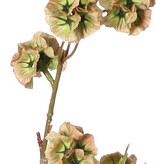 Scabiosa (Duifkruid) drumsticks met 21 polyester zaaddozen, Ø 3 cm, geen blad, 90 cm